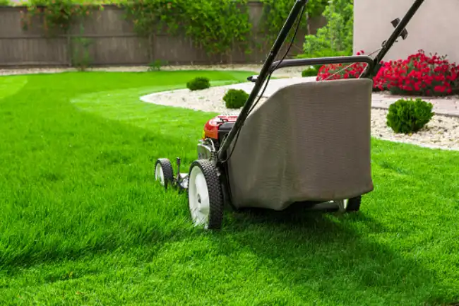 Can you mow wet grass in Santa Monica, CA