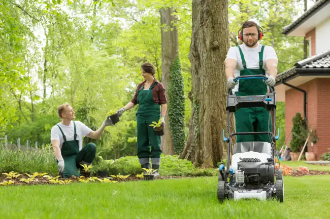 Can you mow wet grass in Santa Monica, CA