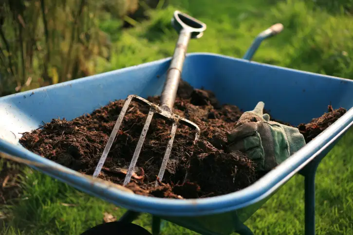 How long does mulch last in Santa Monica, CA