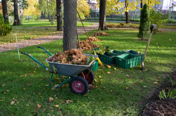 How to clean a backyard in Santa Monica, CA