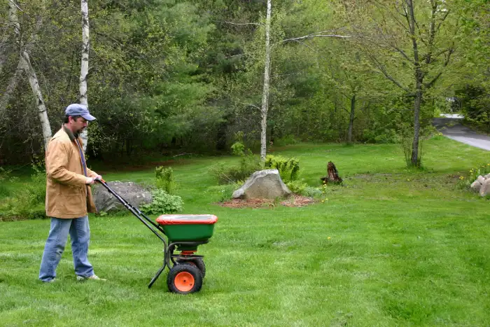 How to clear a yard full of weeds in Santa Monica, CA