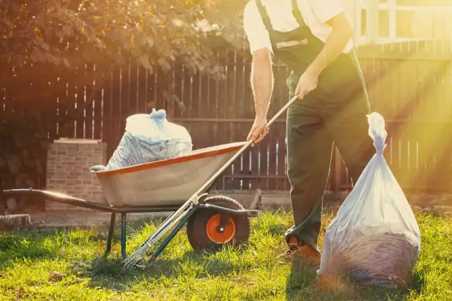 How to clear a yard full of weeds in Santa Monica, CA