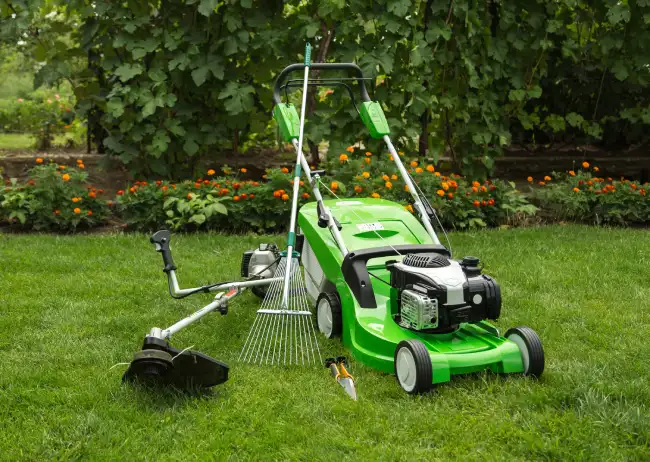 How to mow a lawn in Santa Monica, CA