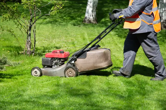 How to mow a lawn in Santa Monica, CA