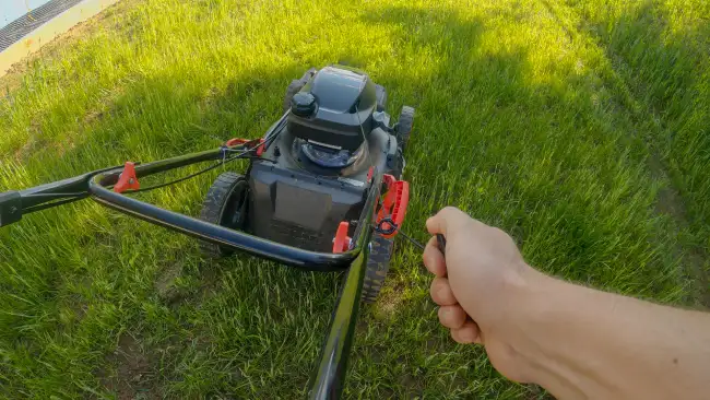 Reliable lawn mowing in Santa Monica, CA