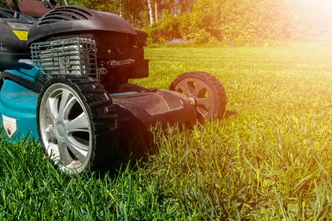 Affordable lawn mowing in Santa Monica, CA