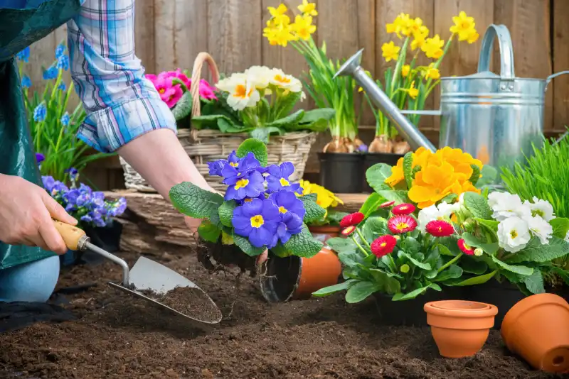 Professional mulching in Santa Monica, CA