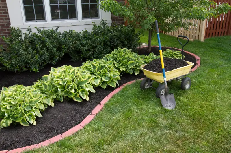 Reliable mulching in Santa Monica, CA